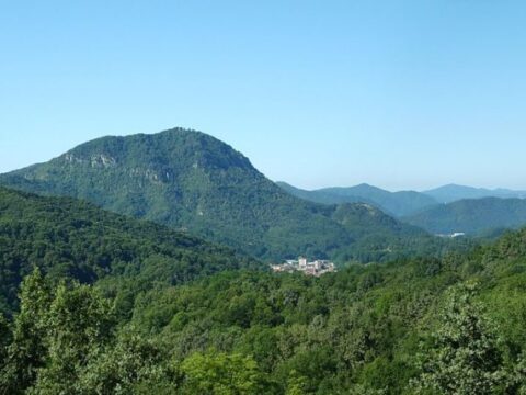 Fenerea Mount