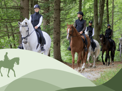 Monteoro Horse Village