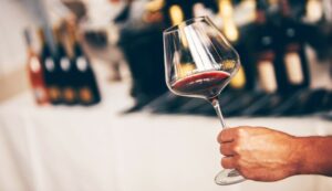 Wine festival 2024