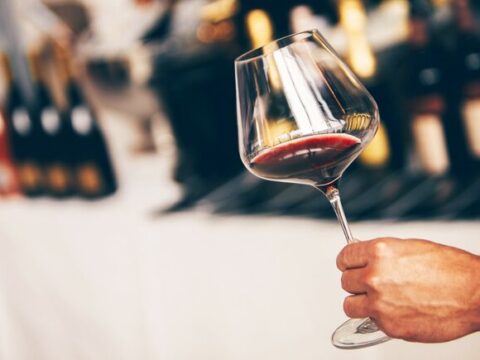Wine festival 2024