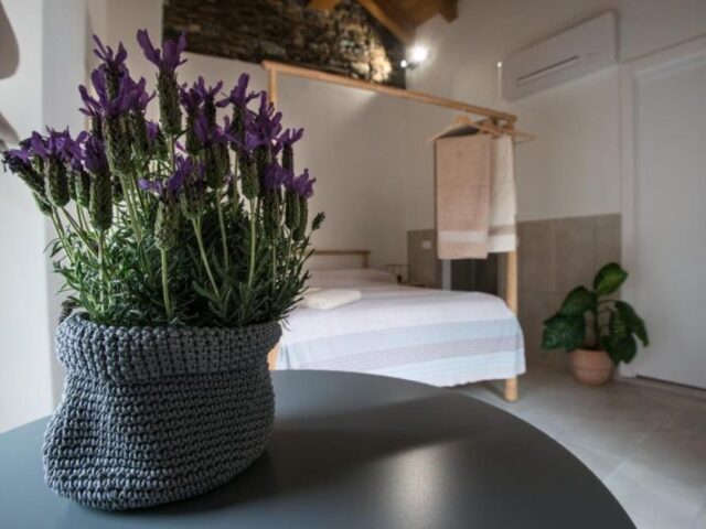 Guest House Seme di Faggio